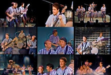 Load image into Gallery viewer, BEACH BOYS / IN COLOR VOLUME 1 DVD