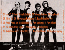 Load image into Gallery viewer, FLAMIN' GROOVIES / SHAKE SOME RADIO
