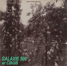 Load image into Gallery viewer, GALAXIE 500 / at CBGB