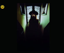 Load image into Gallery viewer, GEORGE HARRISON / ALL THINGS MUST PASS ALTERNATES (2CD)
