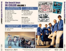Load image into Gallery viewer, BEACH BOYS / IN COLOR VOLUME 1 DVD
