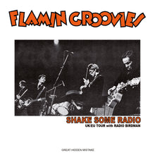 Load image into Gallery viewer, FLAMIN' GROOVIES / SHAKE SOME RADIO
