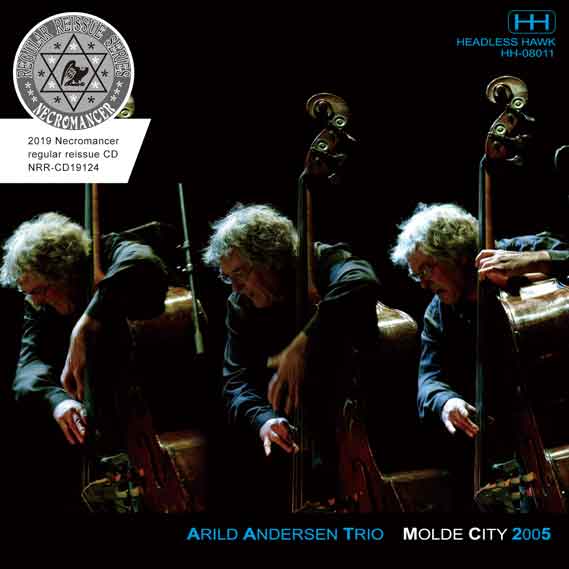 ARILD ANDERSEN TRIO / MOLDE CITY 2005